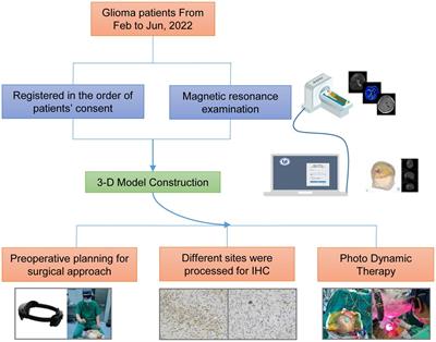 Using mixed reality technique combines multimodal imaging signatures to adjuvant glioma photodynamic therapy